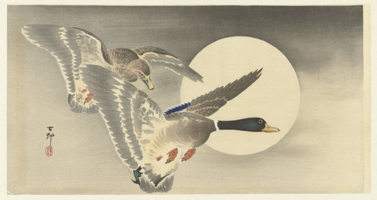 Kaksi ankkaa täysikuussa tekijältä Ohara Koson