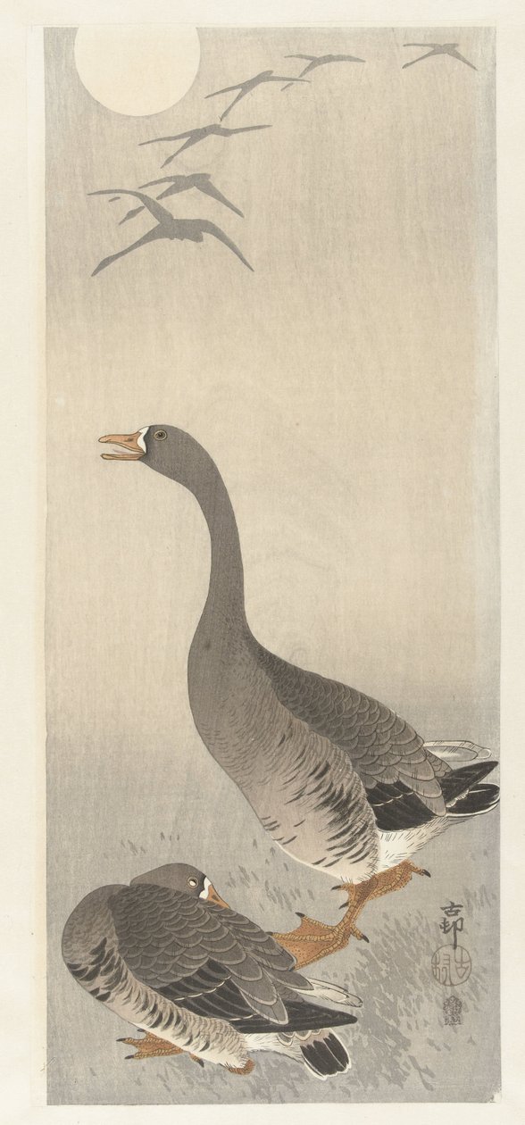 Kaksi kokonaista tekijältä Ohara Koson