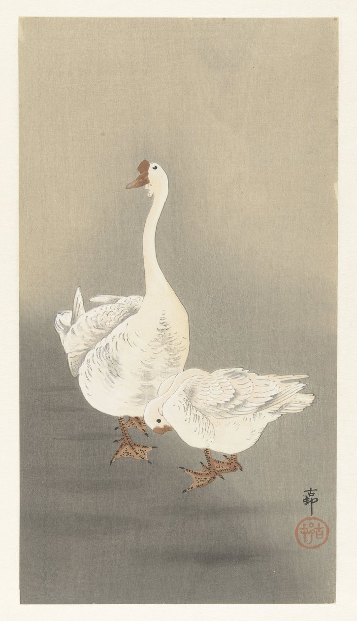 Kaksi kokonaista tekijältä Ohara Koson