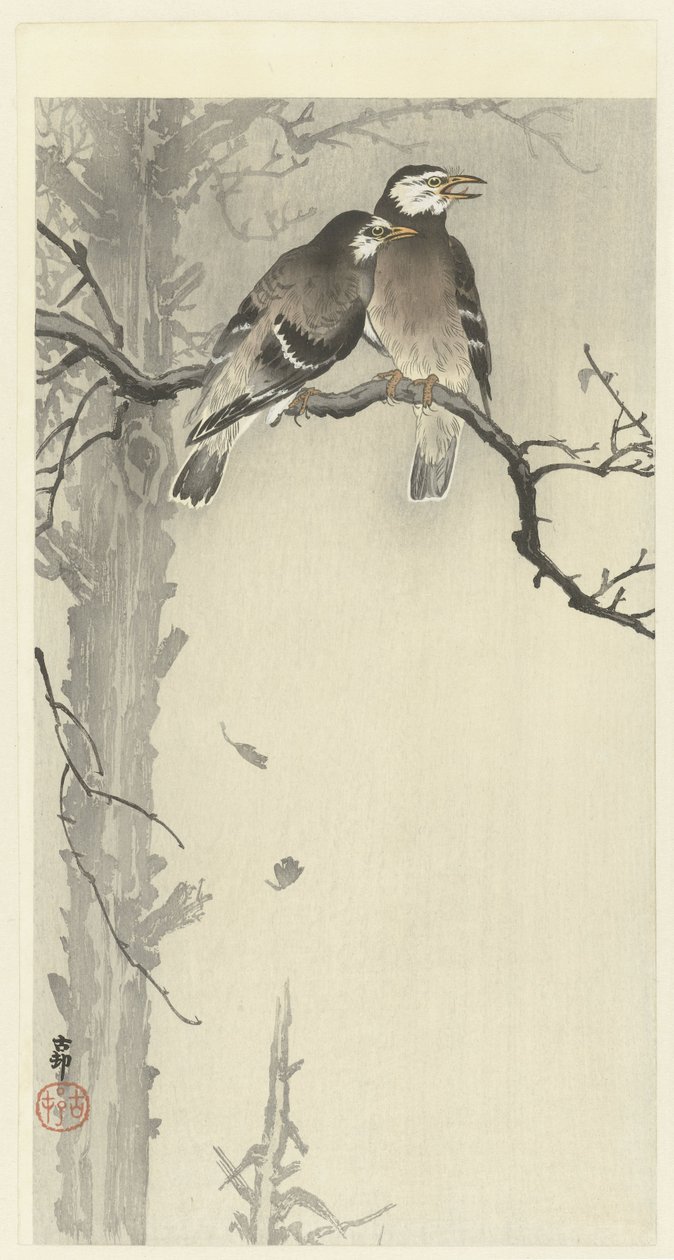 Kaksi harmaata kottaraista tekijältä Ohara Koson