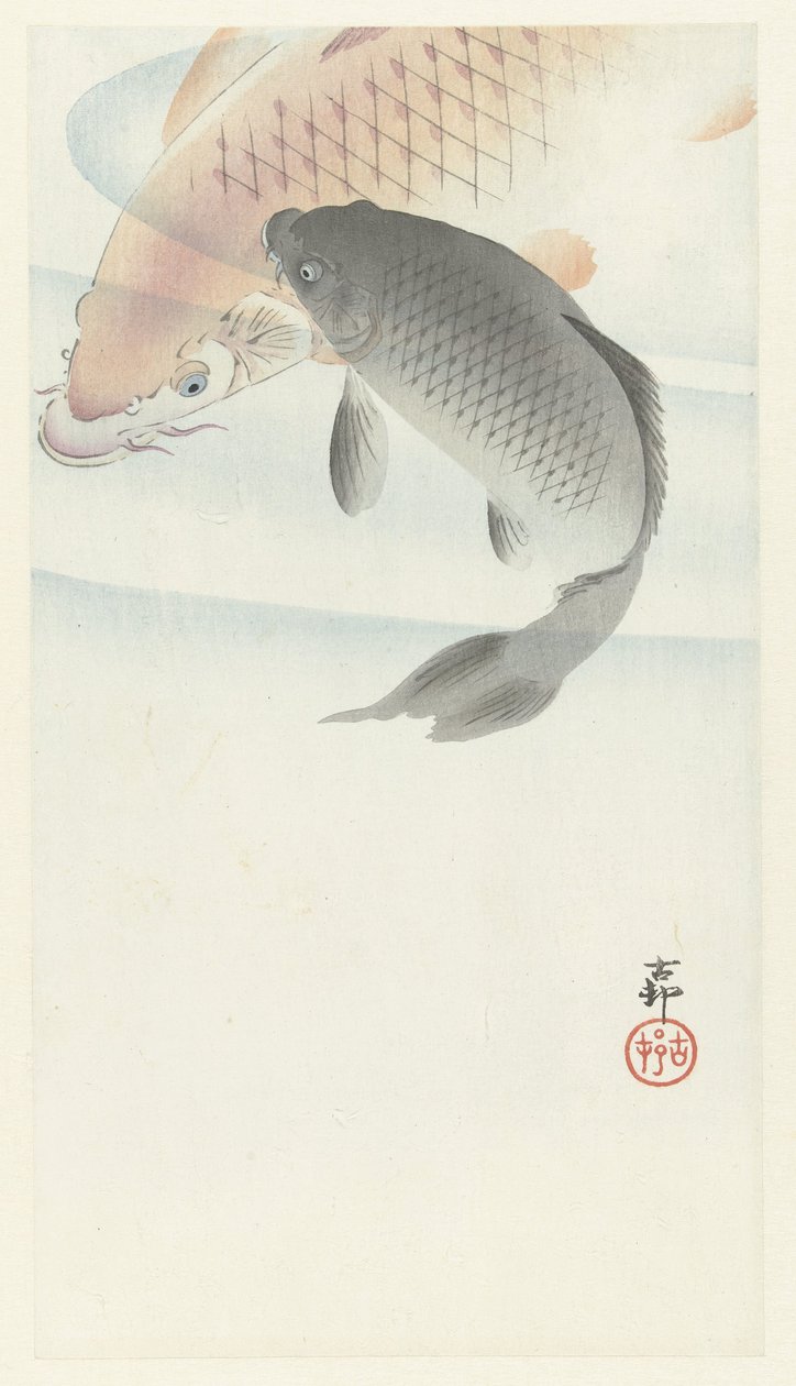 Kaksi karppia tekijältä Ohara Koson