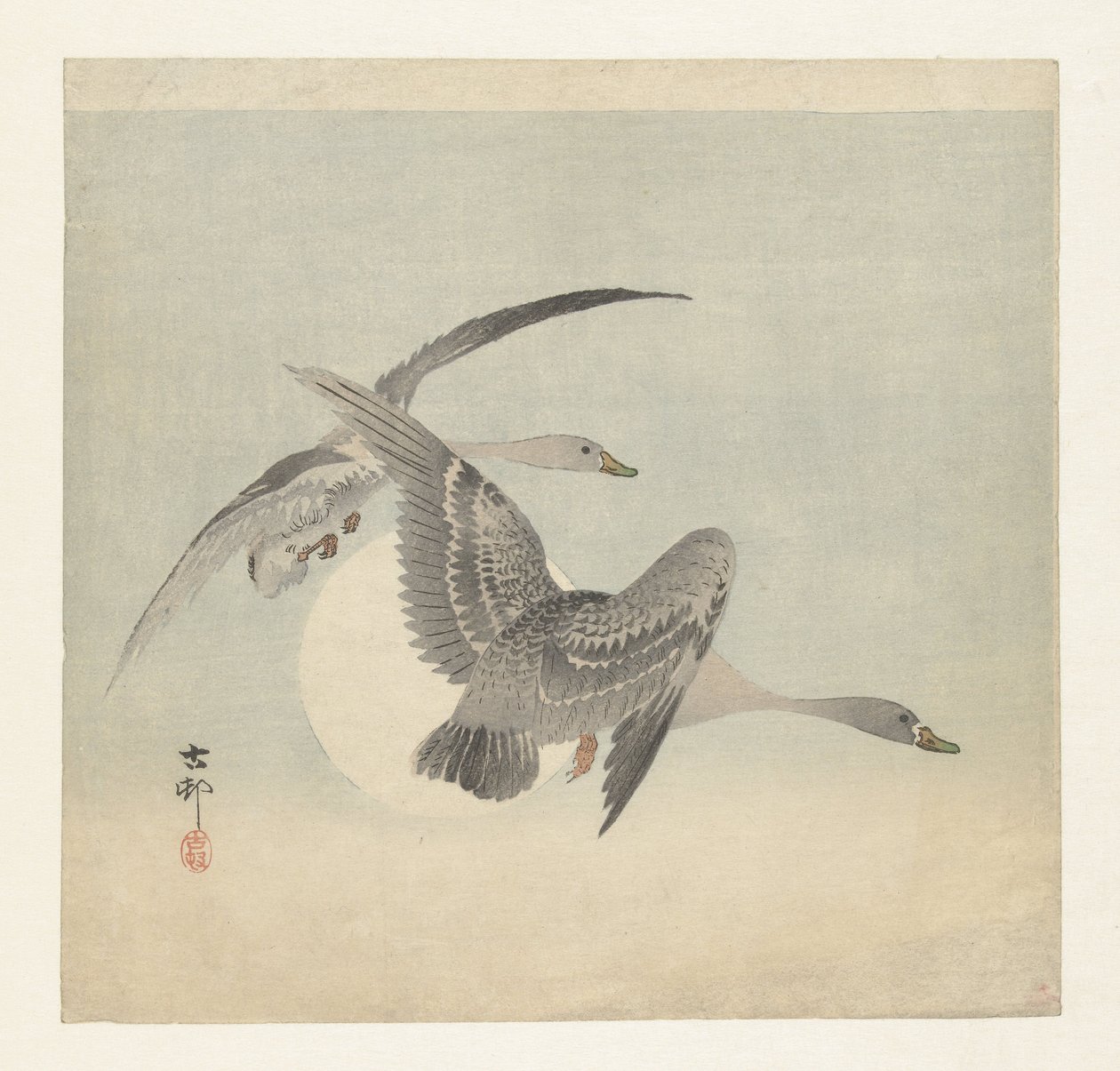 Dues oques de cara blanca en vol acaben tekijältä Ohara Koson
