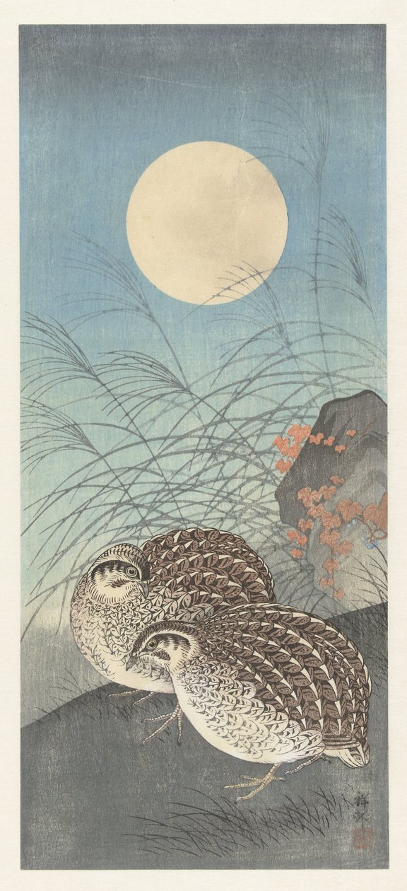 Kaksi viiriäistä täysikuussa. tekijältä Ohara Koson