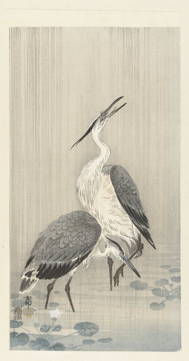 Kaksi haikaroita sateessa tekijältä Ohara Koson