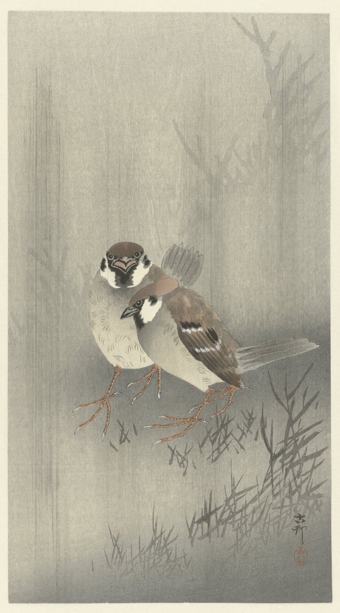 Kaksi sormusvarpusta sateessa tekijältä Ohara Koson