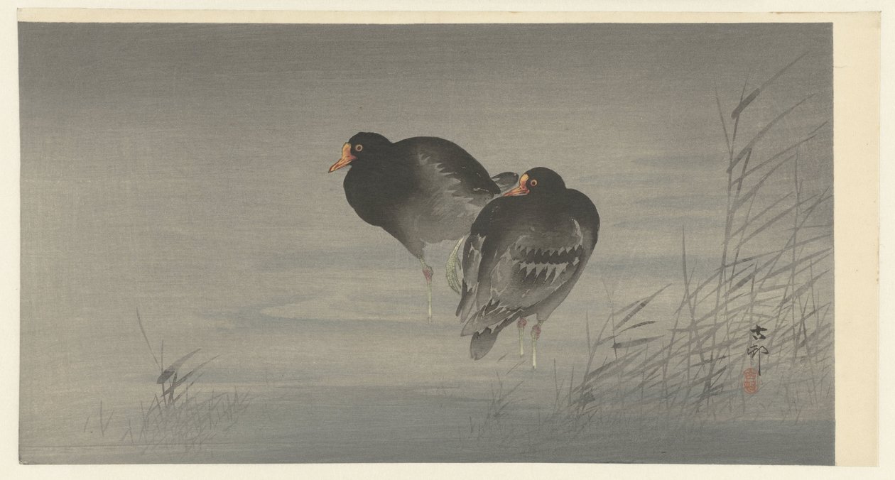 Kaksi Moorhens tekijältä Ohara Koson