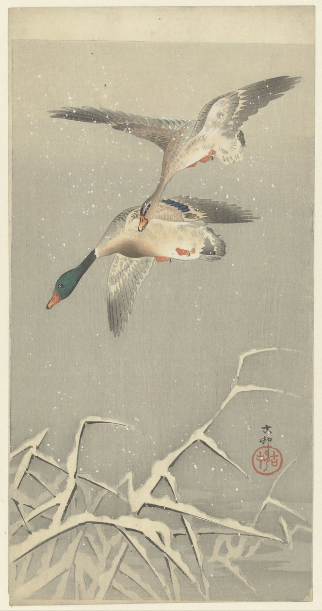 Kaksi villiankkaa lennossa tekijältä Ohara Koson