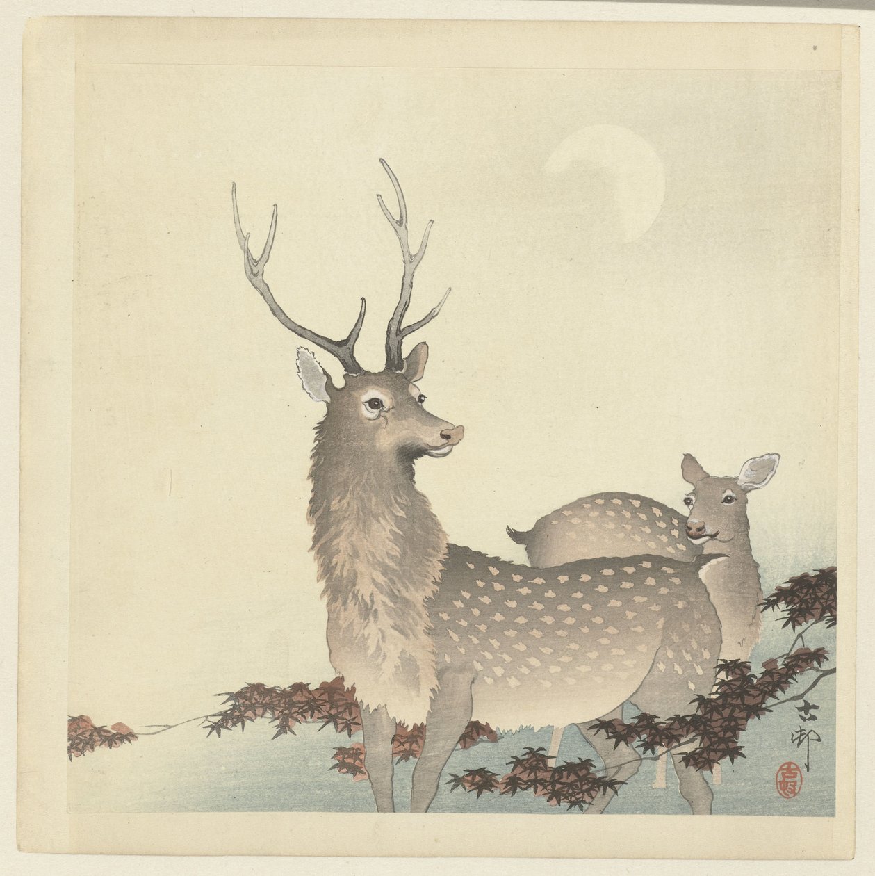 Kaksi peuraa tekijältä Ohara Koson