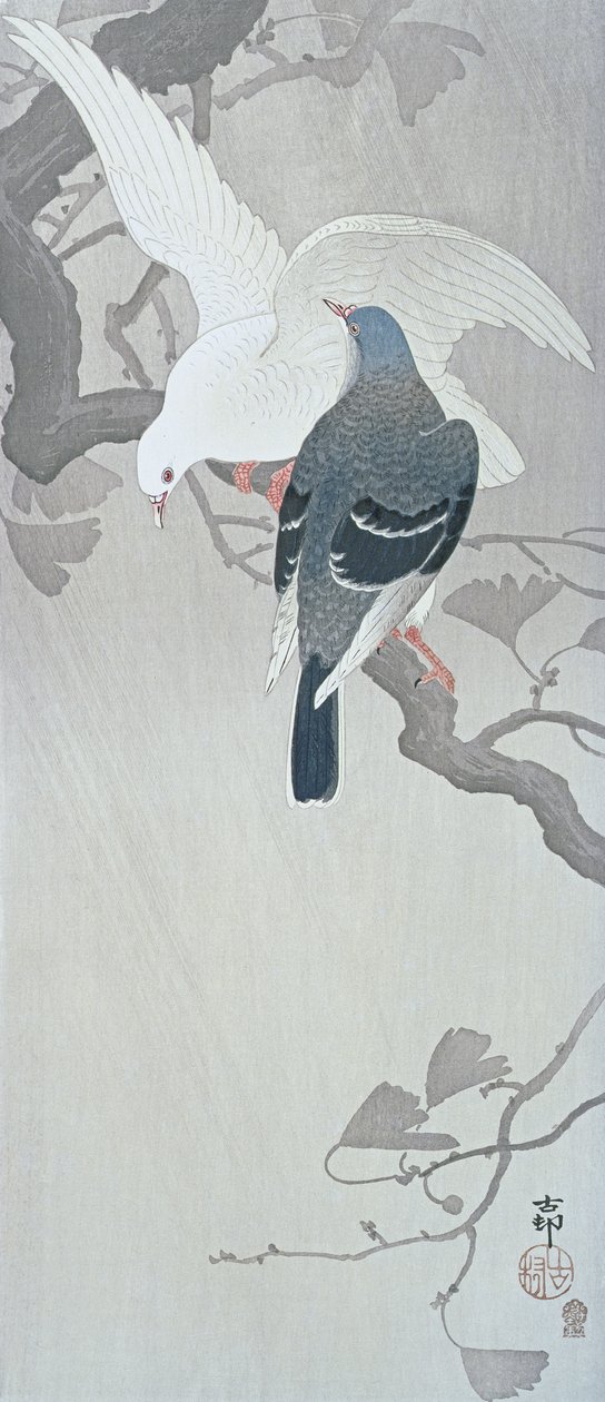 Kaksi kyyhkystä sateessa Ginkgo-puun oksalla tekijältä Ohara Koson