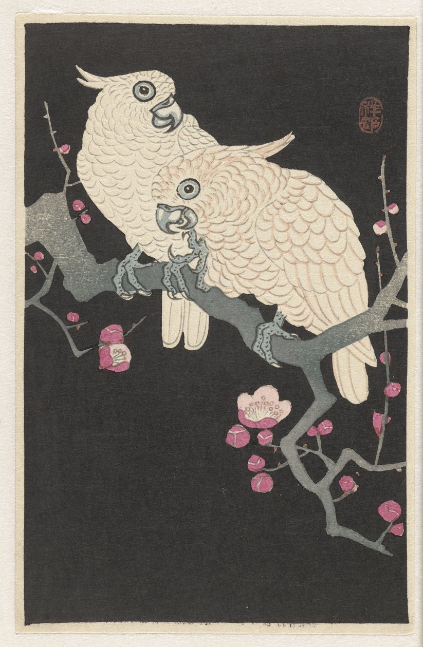 Kaksi kakadua ja luumun kukinta tekijältä Ohara Koson