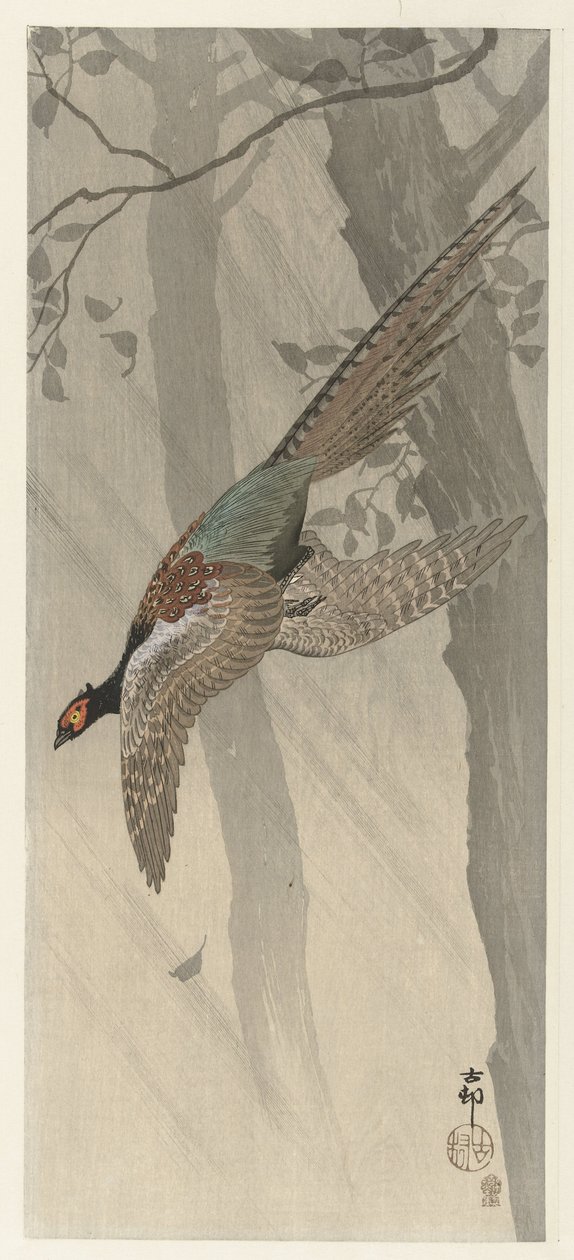 lentävä fasaani tekijältä Ohara Koson