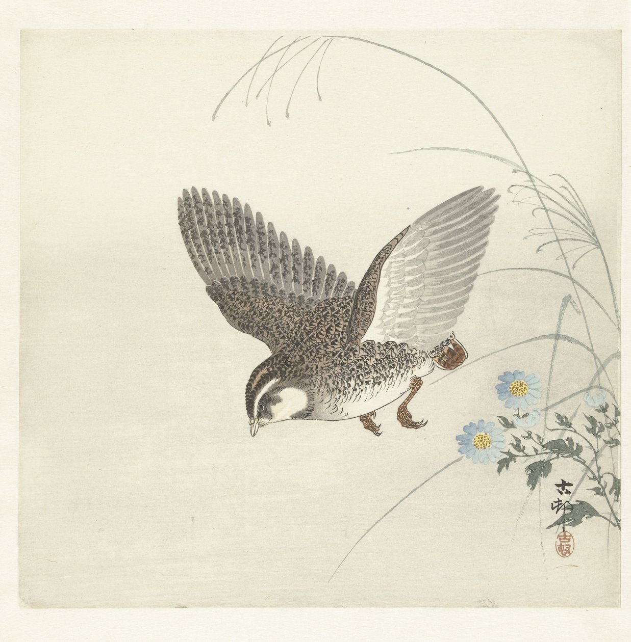 lentävä viiriäinen tekijältä Ohara Koson
