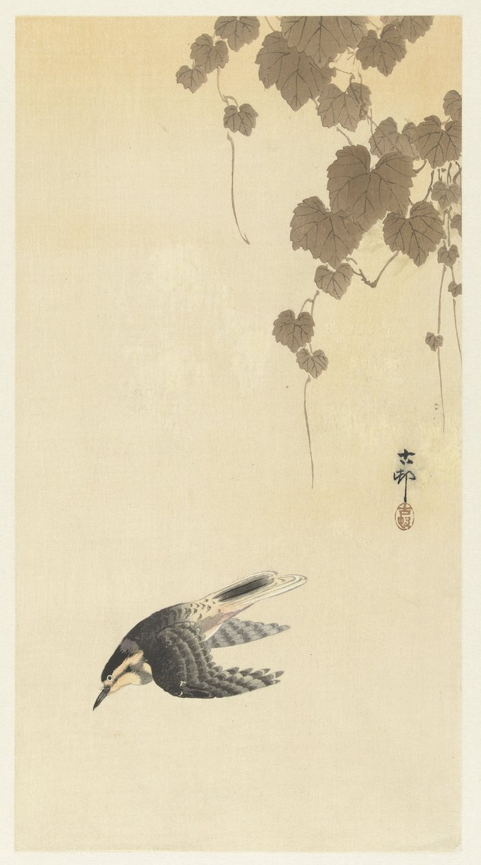 Lintu alaspäin lennossa tekijältä Ohara Koson