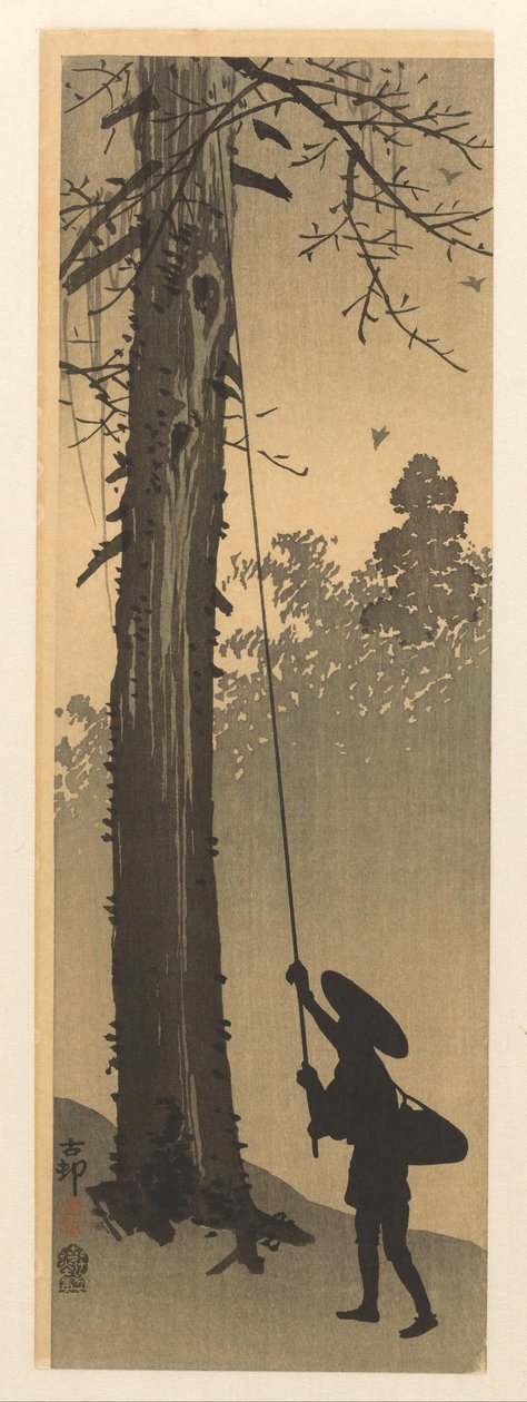 lintupesän ryöstäjä tekijältä Ohara Koson