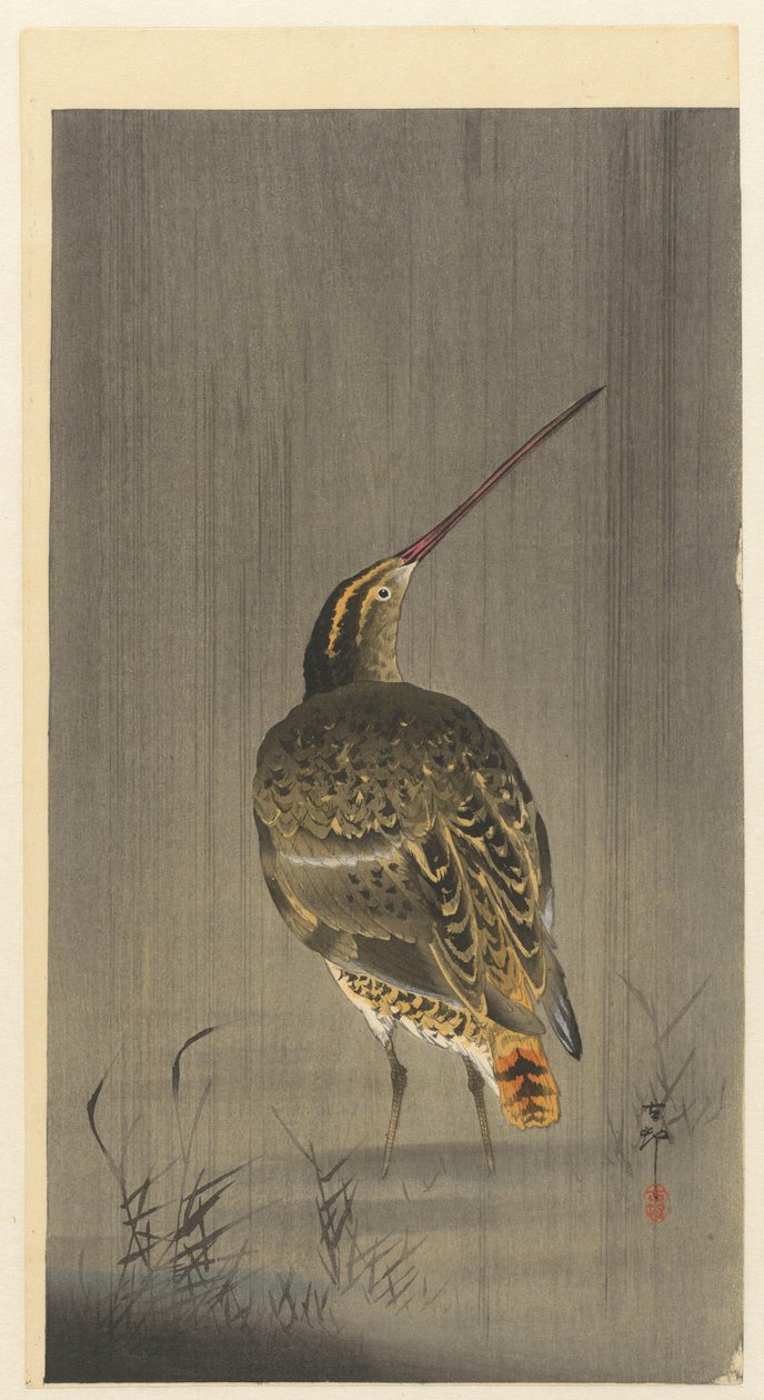 Snipe sateessa tekijältä Ohara Koson