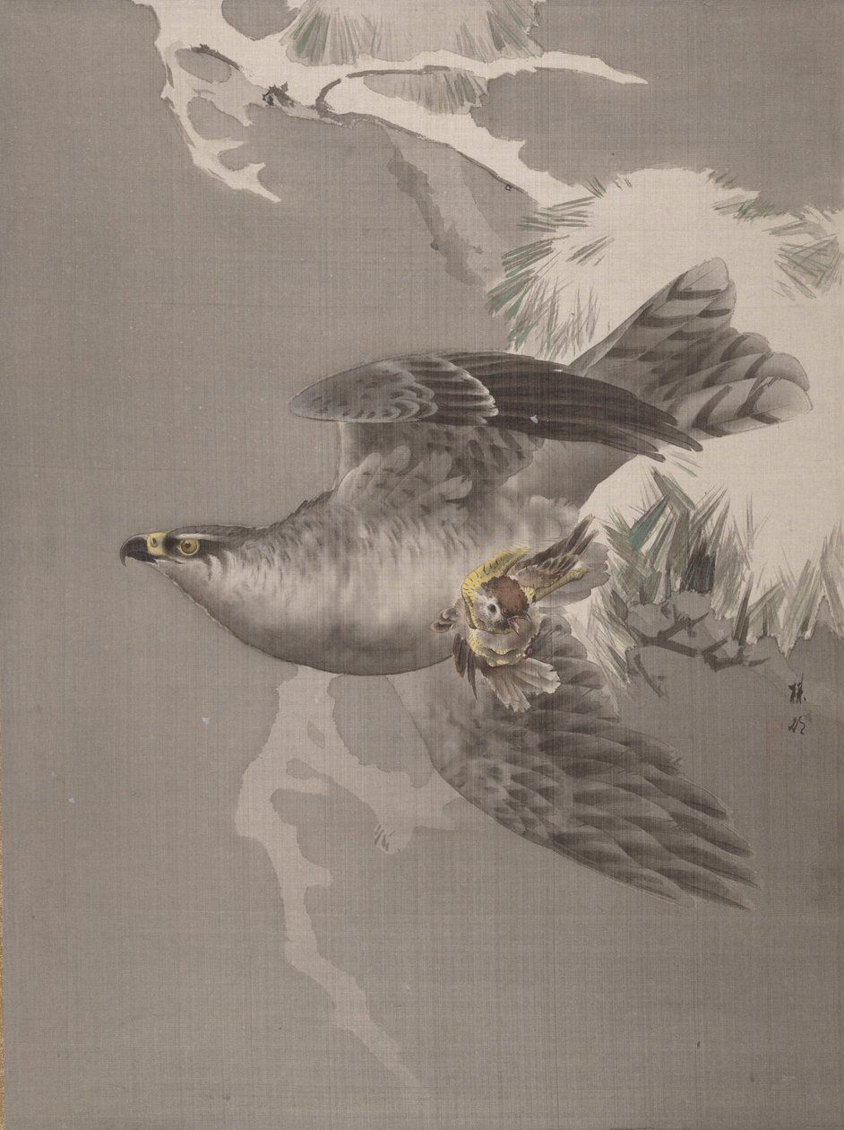 Hawk pitelee pientä lintua, n. 1891-92. tekijältä Okada Baison