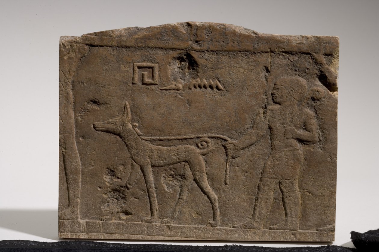 Reliefi, joka kuvaa kääpiötä ja metsästyskoiraa nimeltä Ebony, 4.-5. dynastia, 2573-2311 eKr. (kalkkikivi) tekijältä Old Kingdom Egyptian