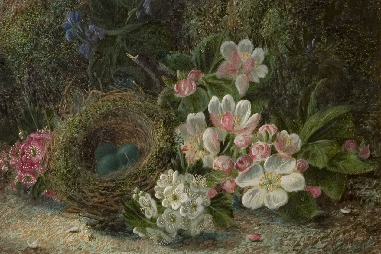 Linnunpesä omenalla ja orapihlajalla, 1893 tekijältä Oliver Clare