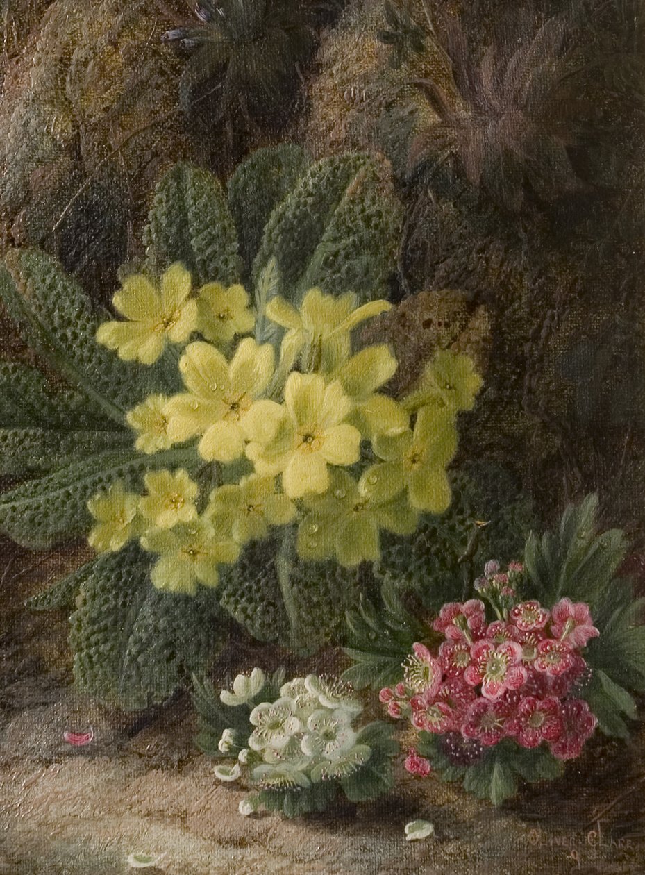 Esikoot, 1893 tekijältä Oliver Clare