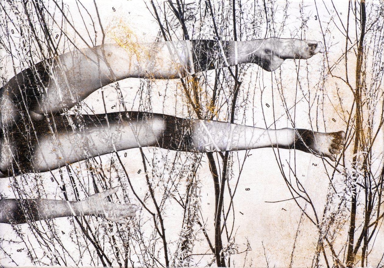 Gambe volanti, 2022 (sekatekniikka puulle) tekijältä Olivia Gozzano