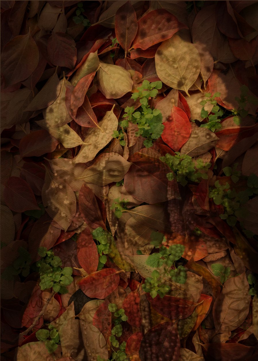 Queen of Leaves, 2025 (digitaalinen sekatekniikka). tekijältä Olivia Gozzano