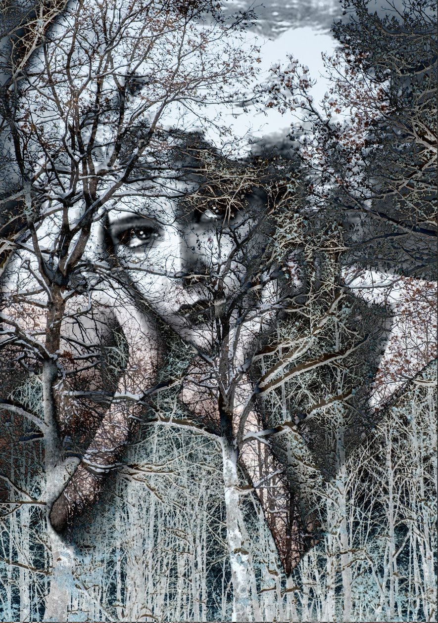 Talvinen muotokuva negatiivissa, 2021(digitaalinen sekatekniikka) tekijältä Olivia Gozzano