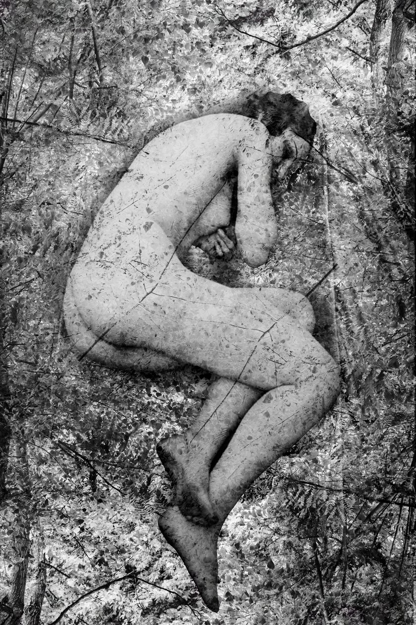 Seme, 2024 (digitaalinen sekatekniikka) tekijältä Olivia Gozzano