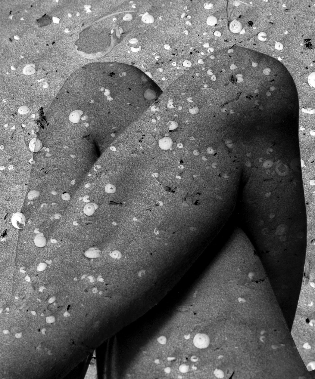 Kuoren jalat, 2019 (digitaalinen sekatekniikka) tekijältä Olivia Gozzano