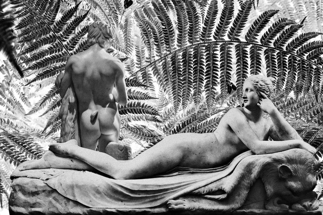 Patsas ah 2019 (digitaalinen sekatekniikka) tekijältä Olivia Gozzano