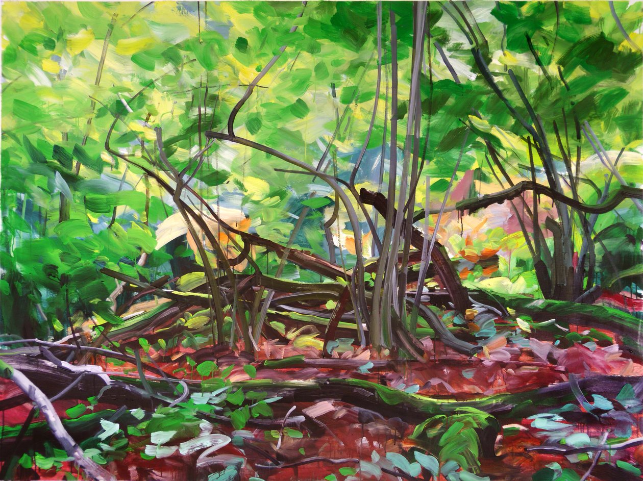 Forest 12,2015 (akryyli kankaalle) tekijältä Olivier Morel