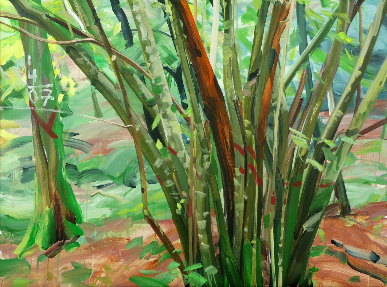 Forest 8 le-9-janvier-2015 ,2015 (akryyli kankaalle) tekijältä Olivier Morel