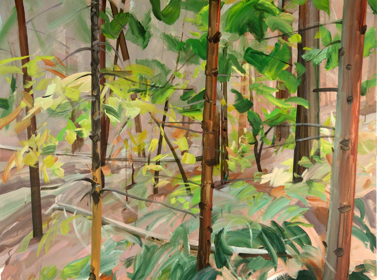 Forest 9,2015 (akryyli kankaalle) tekijältä Olivier Morel