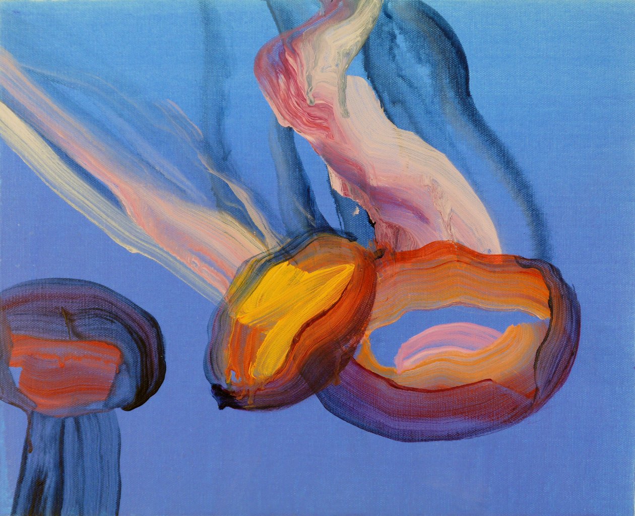 Méduses 11, 2013 (akryyli kankaalle) tekijältä Olivier Morel