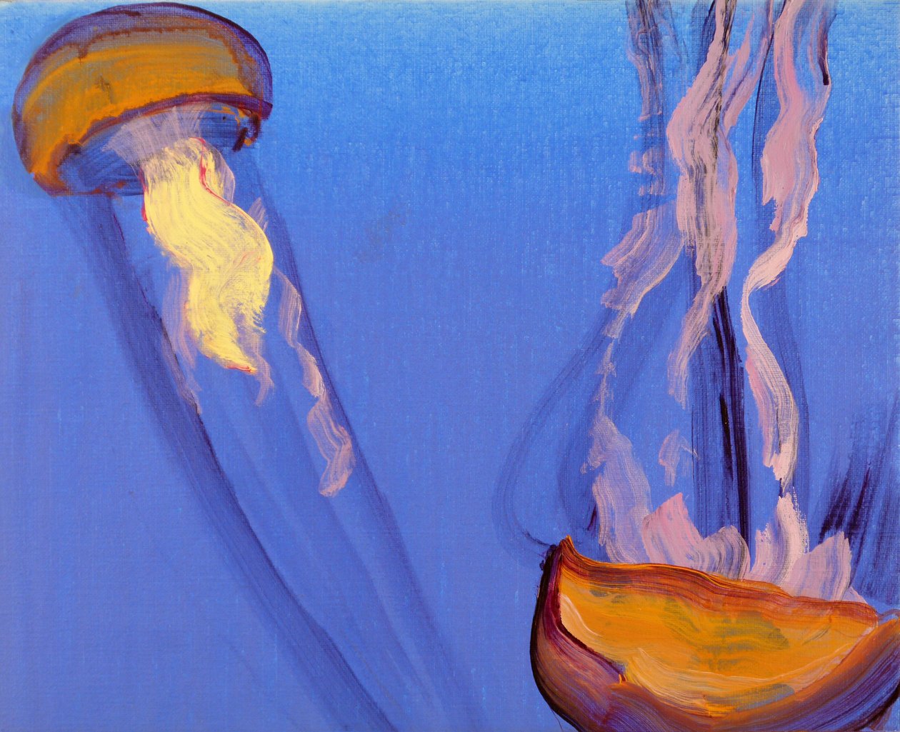 Méduses 7, 2013 (akryyli kankaalle) tekijältä Olivier Morel