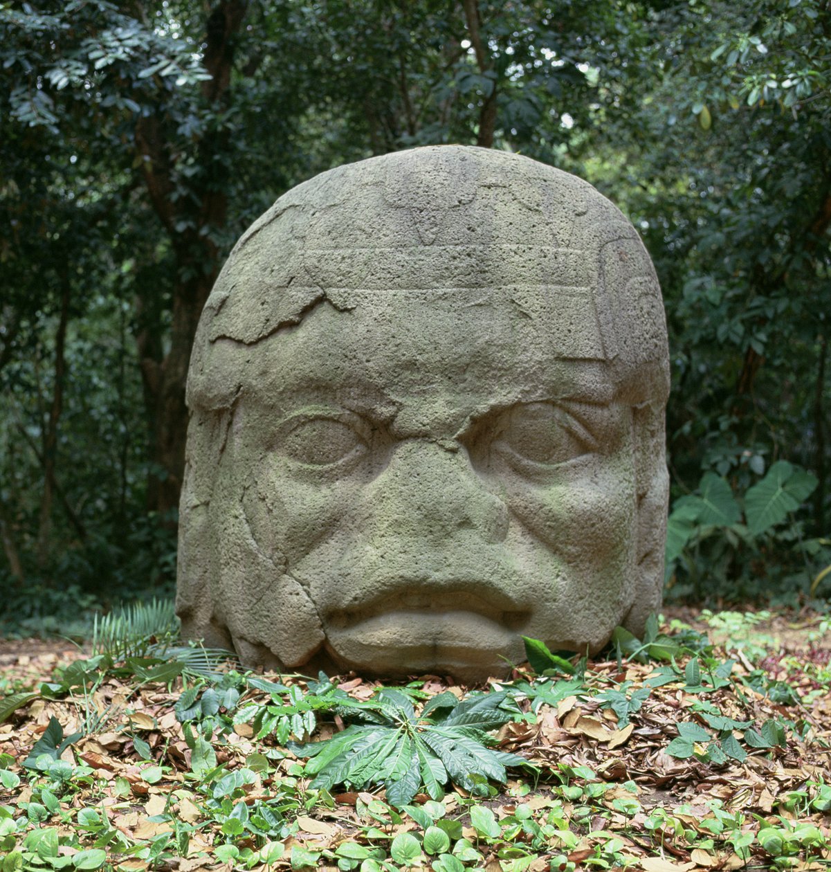Colossal Head 4, esiklassinen kausi tekijältä Olmec