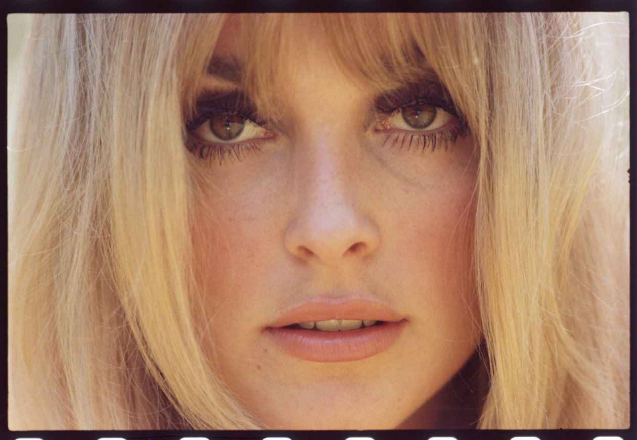Sharon Tate tekijältä Orlando Suero