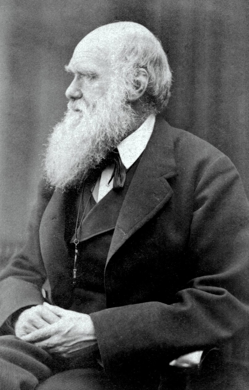 Charles Darwin, 1875 tekijältä Oscar Gustav Rejlander