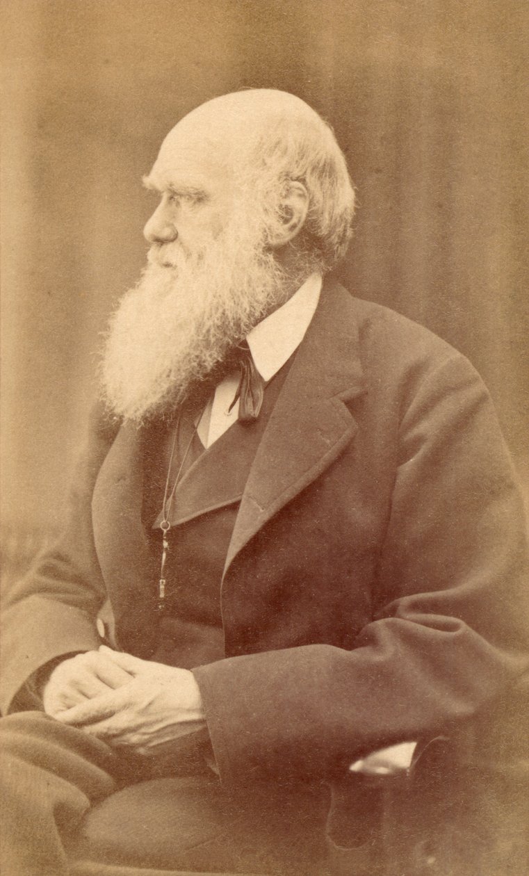Muotokuva Charles Darwinista 72-vuotiaana, noin 1871 (albumiprintti) tekijältä Oscar Gustav Rejlander