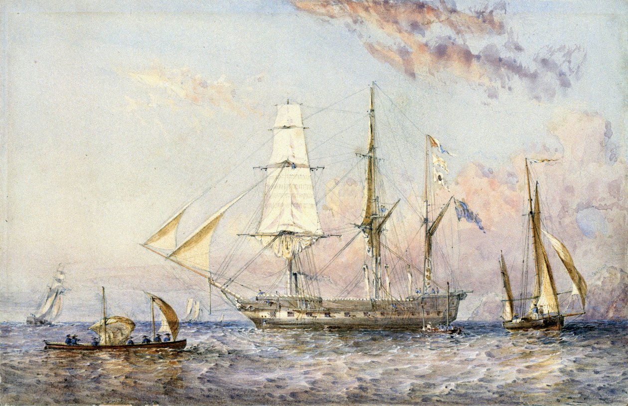 Alus HMS 