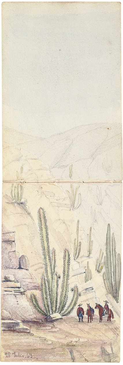 Kaktukset syvässä "Groovessa", 1863 tekijältä Oswald Younghusband