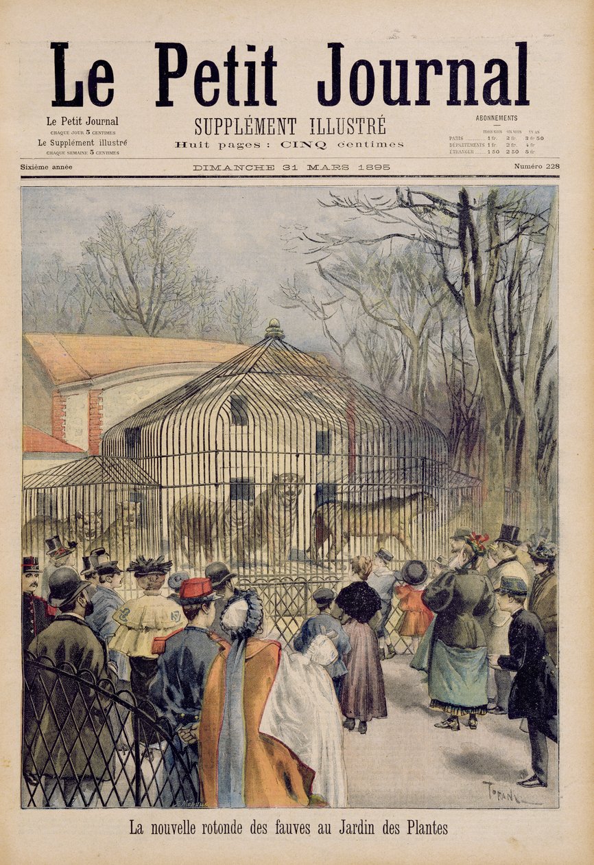 Uusi villikissatalo Jardin des Plantesissa, Le Petit Journalista, 31. maaliskuuta 1895 tekijältä Oswaldo Tofani