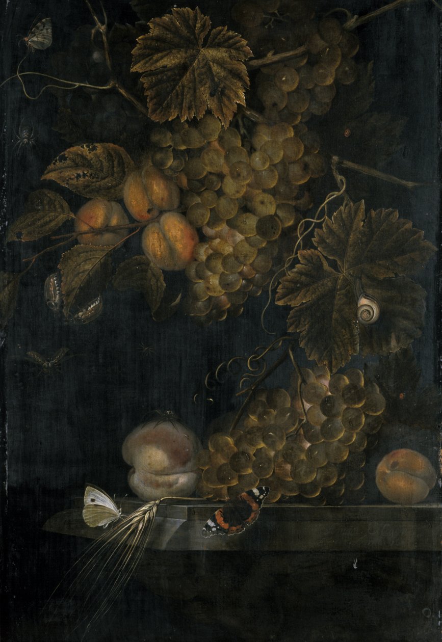 Asetelma persikoilla ja viinirypäleillä, 1665 tekijältä Ottmar the Elder Elliger