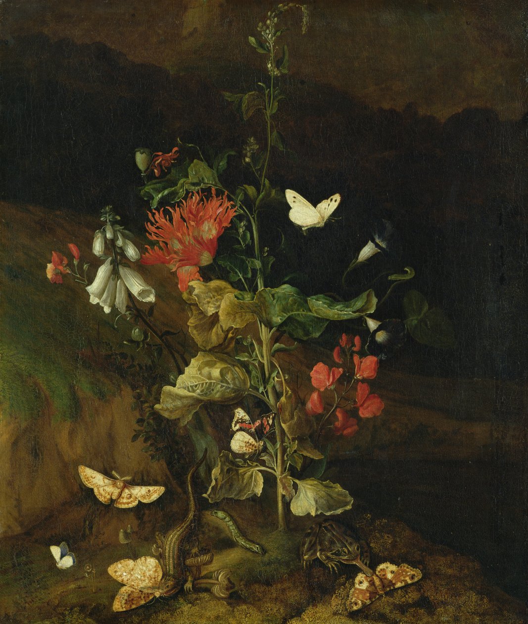 Kukkatutkimus tekijältä Otto Marseus  van Schrieck