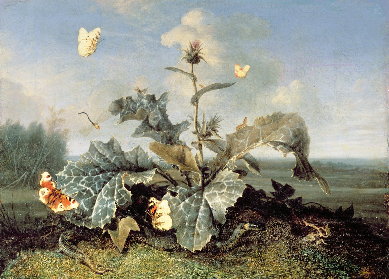 Burdock Bush tekijältä Otto Marseus  van Schrieck