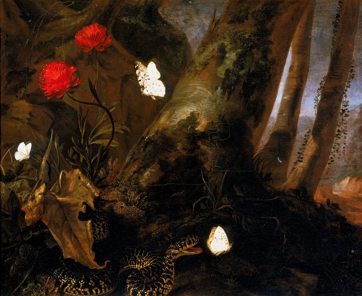 Alusharja eläimillä tekijältä Otto Marseus  van Schrieck