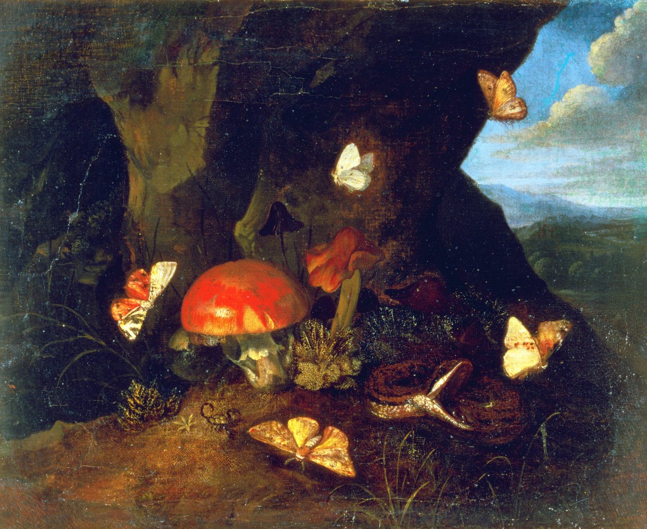 Aluskasvillisuus ja villieläimet tekijältä Otto Marseus  van Schrieck