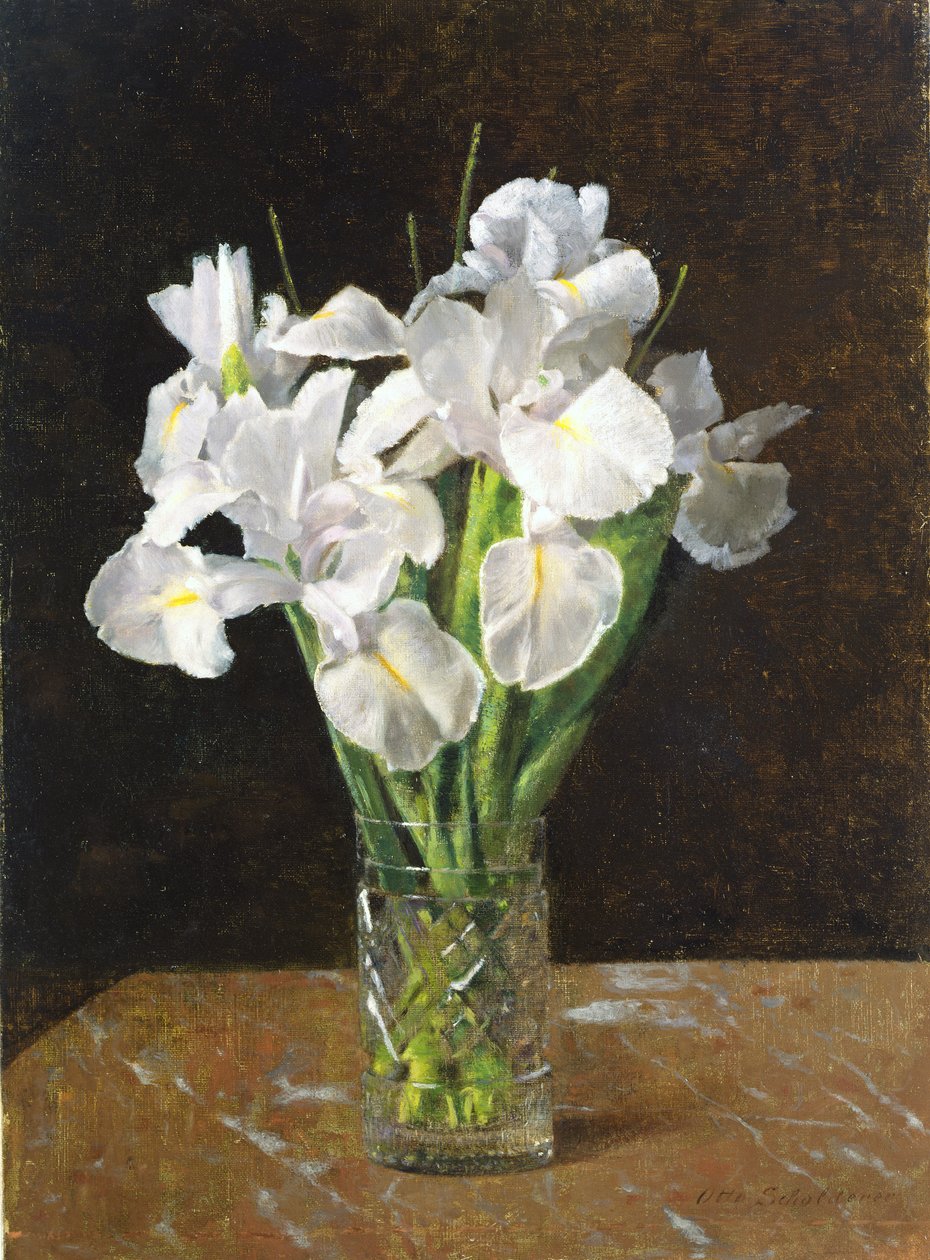 Irikset, 1894 tekijältä Franz Otto Scholderer