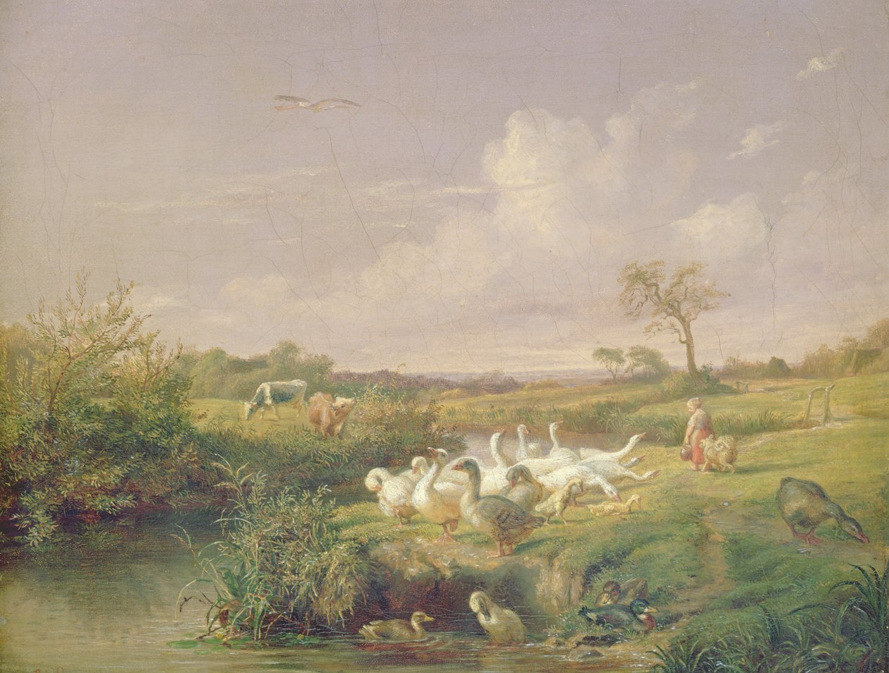Hanhet laiduntavat, 1854 tekijältä Otto Speckter