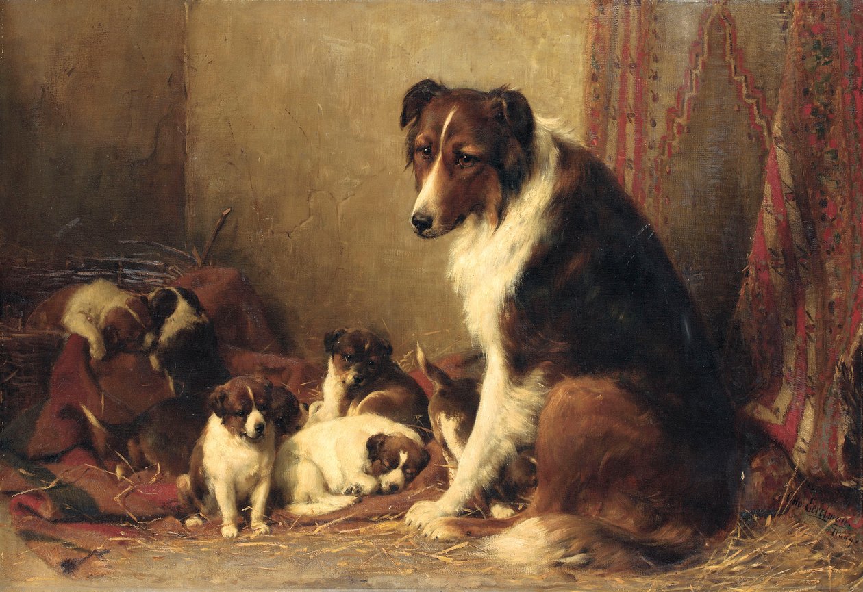 Collie pentujensa kanssa tekijältä Otto Eerelman
