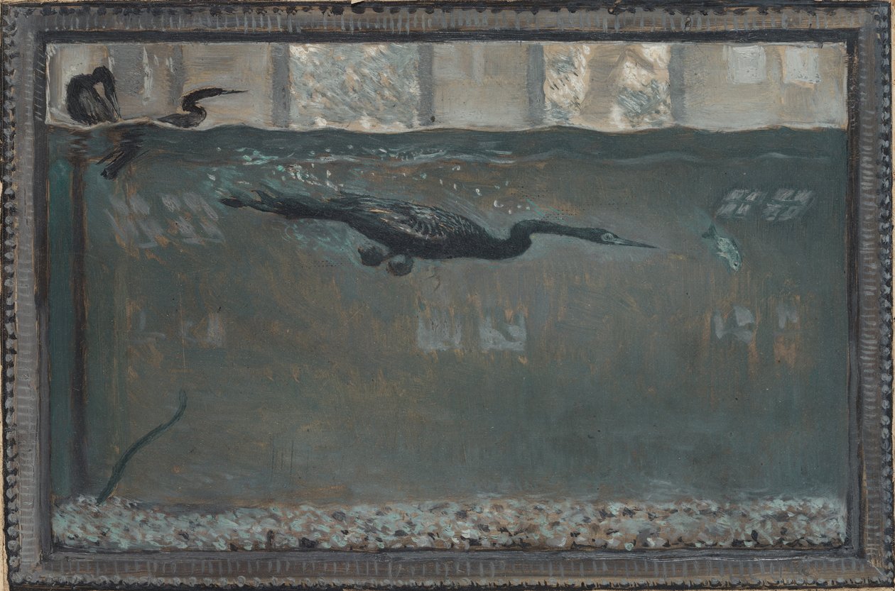 Sukellus merimetso, 1900. tekijältä Otto H. Bacher